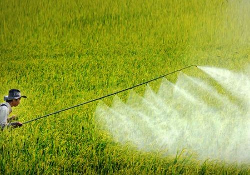 Lợi ích của các loại sản phẩm thuốc bảo vệ thực vật là gì?